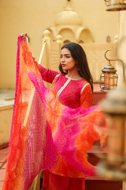 Heer Bhandhani Printed Suit Set