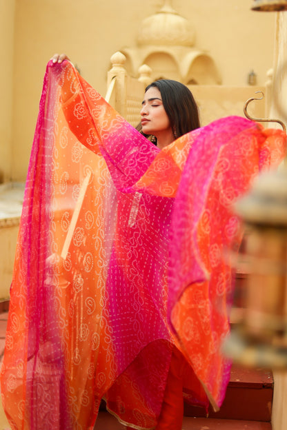 Heer Bhandhani Printed Suit Set