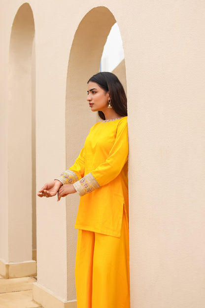 Rooh Palazzo Kurta Co-ord Set