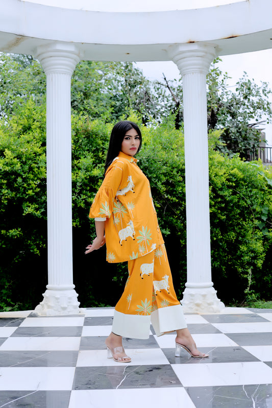 Pichwai Co-ord Set