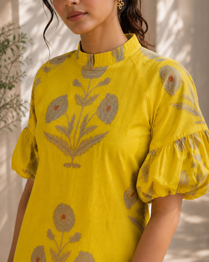 Aliyana kurta co-ord set