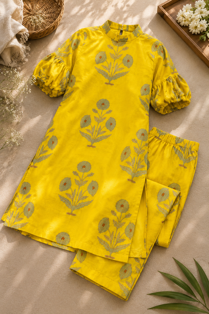 Aliyana kurta co-ord set